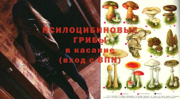 мет Козловка