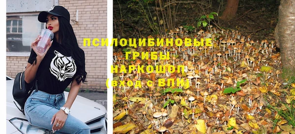 экстази Покачи